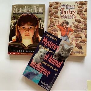 SCHOLASTIC three middle school chapter books new